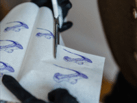 Workshop “Temporäre Tattoos” Stadtmuseum Tübingen / Leonie Commans - Stadtmuseum Tübingen