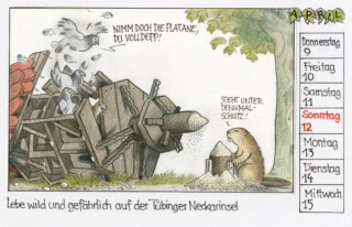 Buchegger Kalender 2026